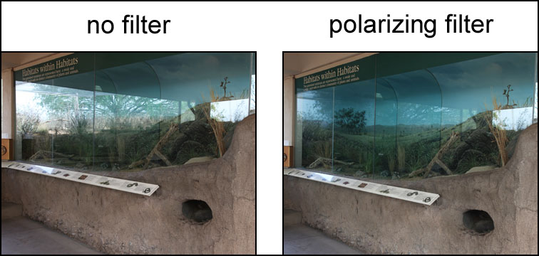why you need a polarizing filter