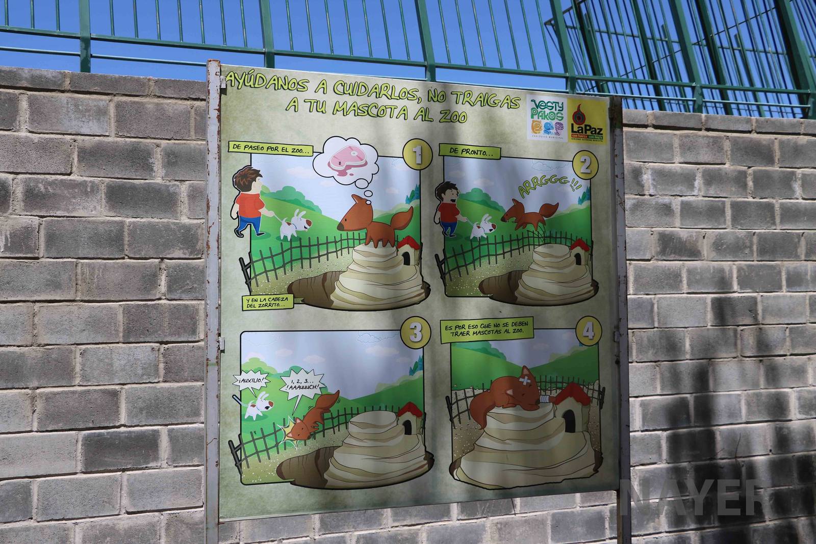 'Why you shouldn't bring your pets into the zoo', March 2016