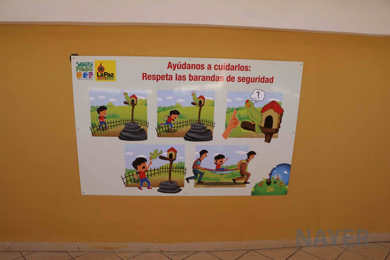 'Why you shouldn't touch the animals', March 2016