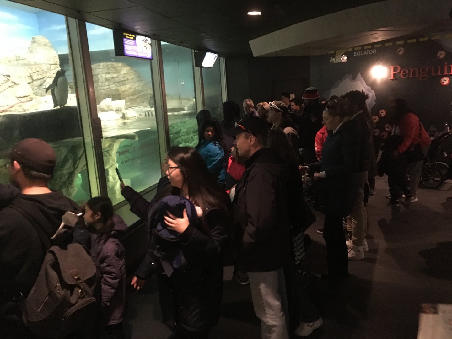 Why zoos should not have Free Days