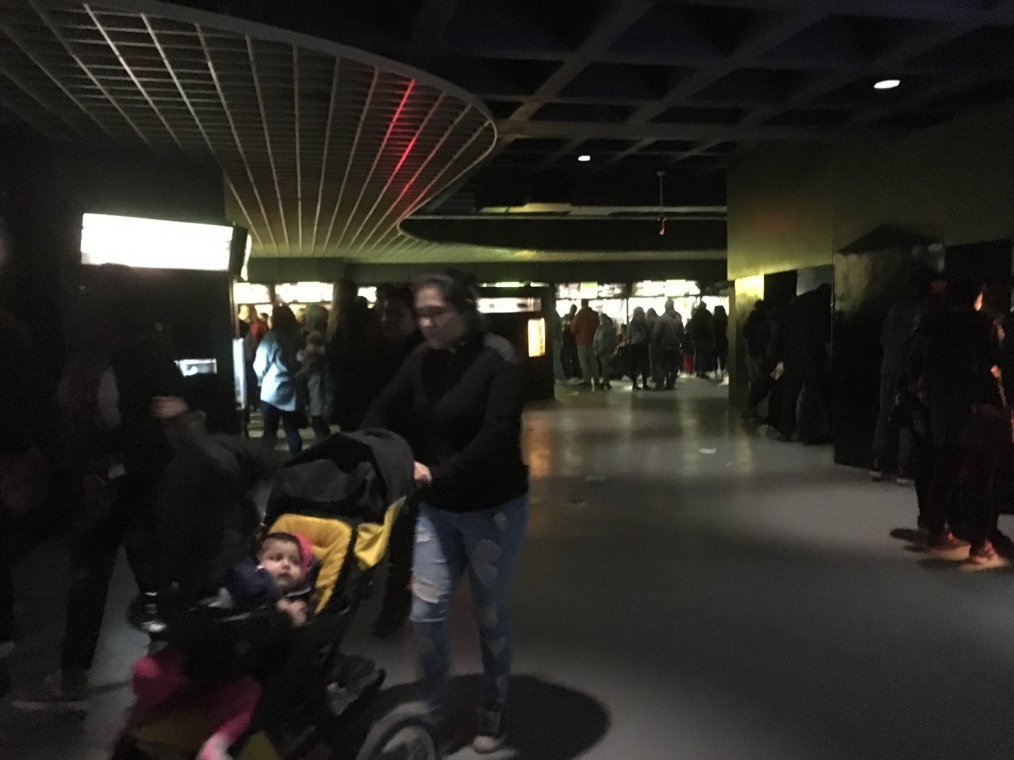 Why Zoos Should Not Have Free Days