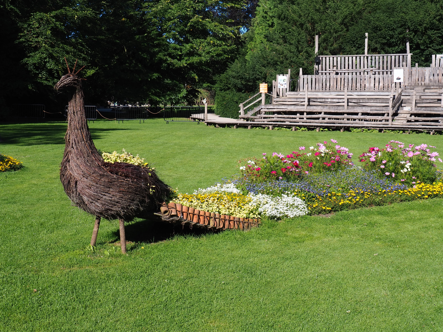 Wicker peacock flower bed with seasonal planting, 2020-07-21