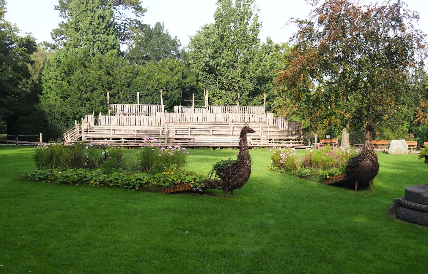 Wicker peacock planters with seating for the raptor show in the background, 2023-09-19