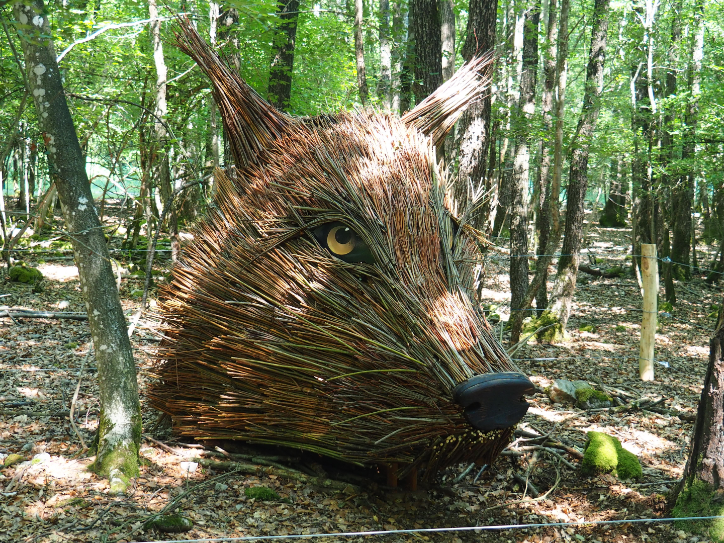 Wicker wolf head artwork, 2020-07-12