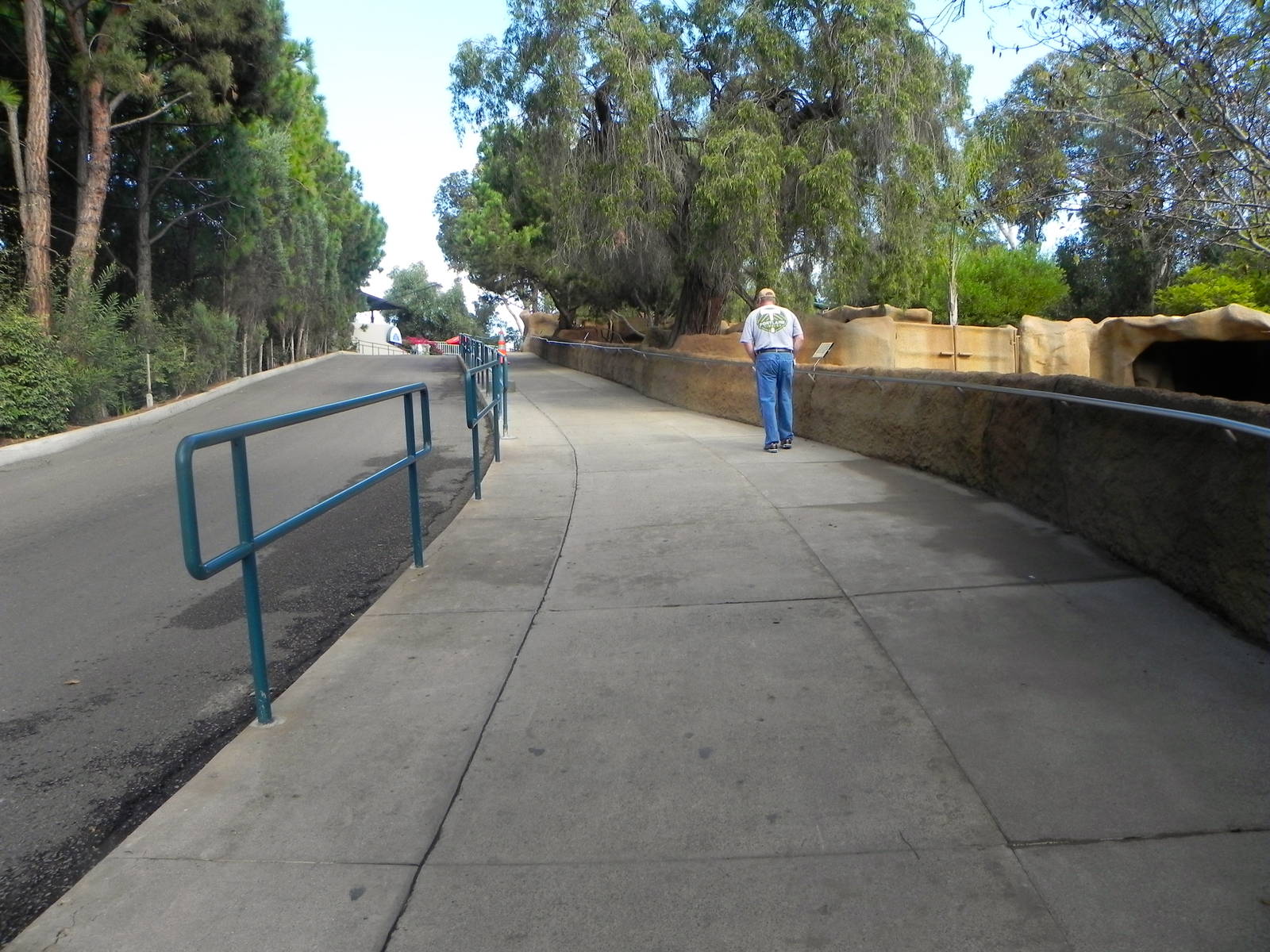 Wider sidewalk and taller walls for ungulate exhibits