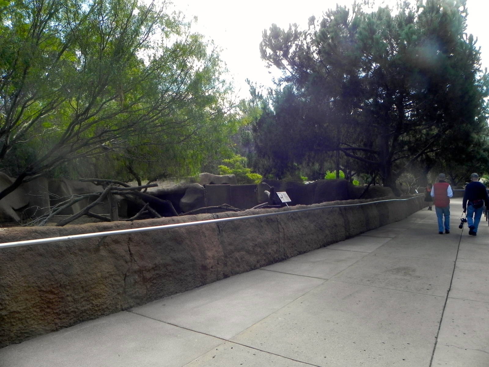 Wider sidewalk and taller walls for ungulate exhibits