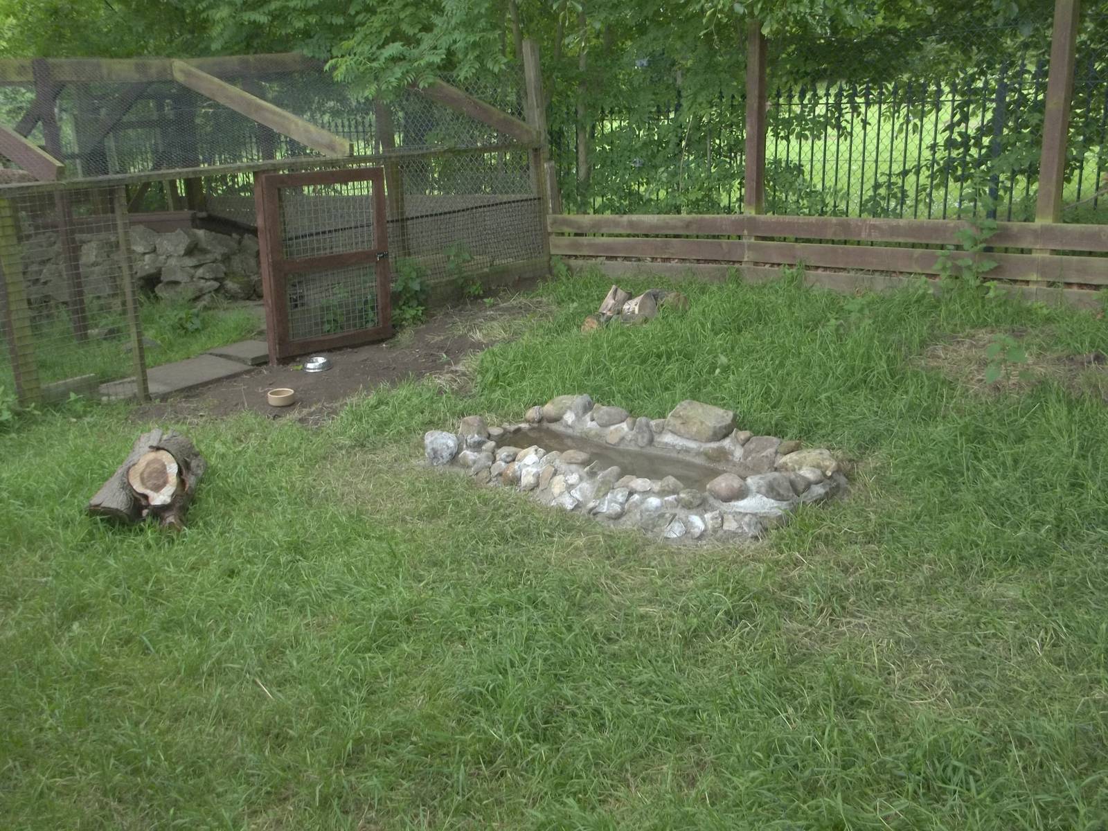 Wider view of extension to Raccoon Dog exhibit, 24th June 2015