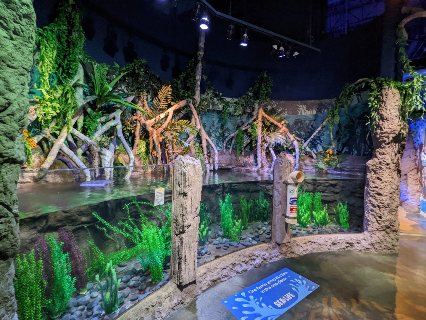 Wider view of long everglade tank