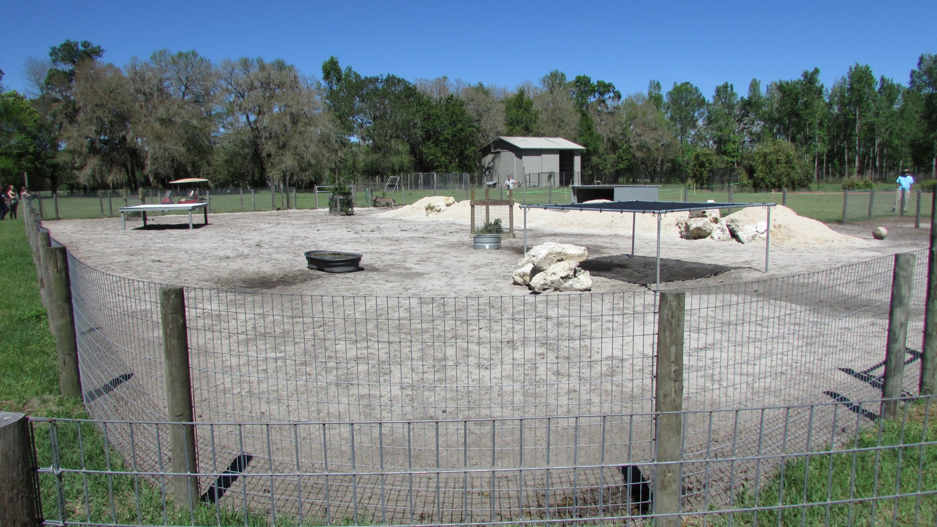 Wilbur & Winnie's Exhibit