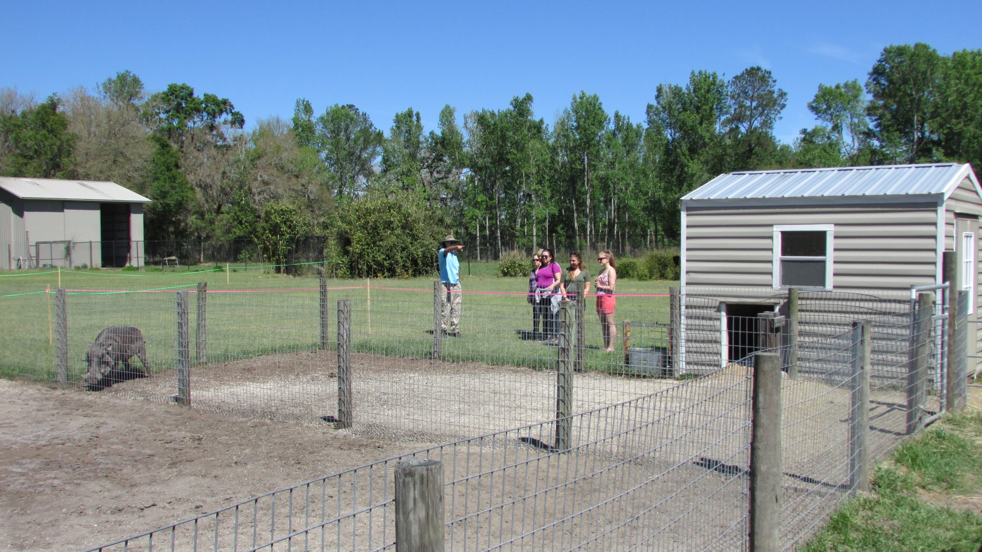 Wilbur & Winnie's Holding Pen