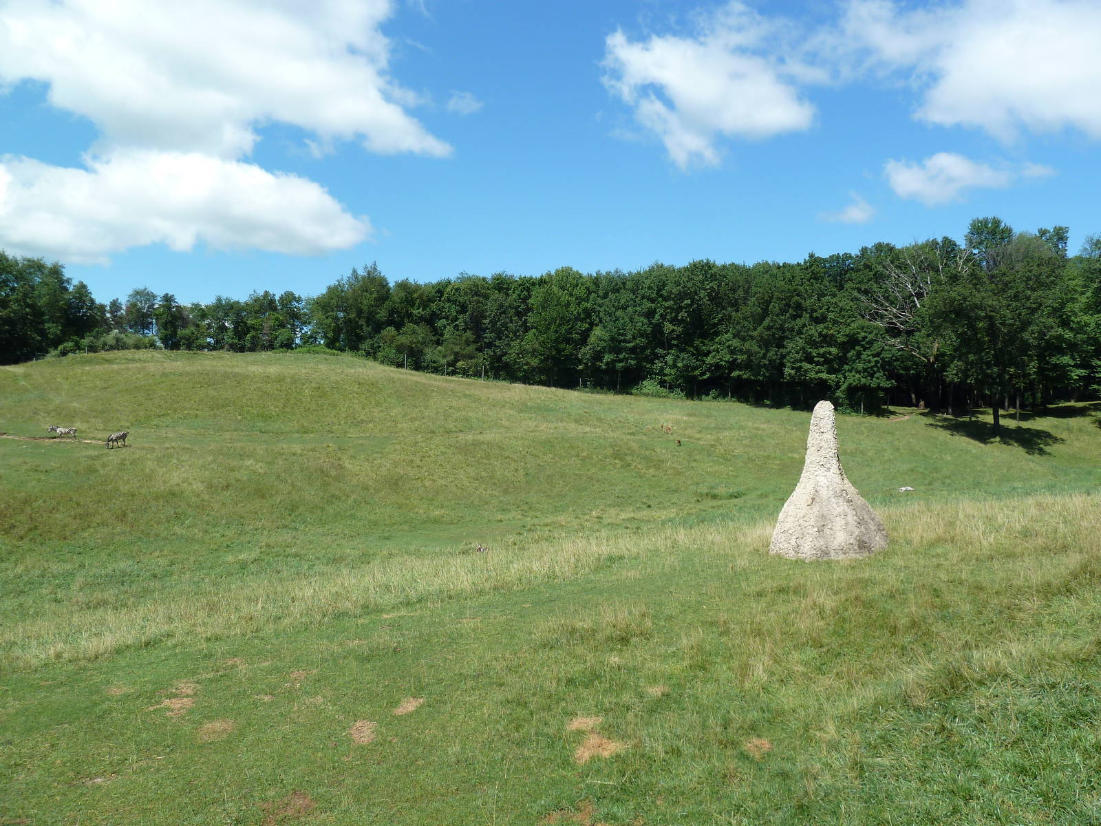 Wild Africa - 18-Acre Savanna