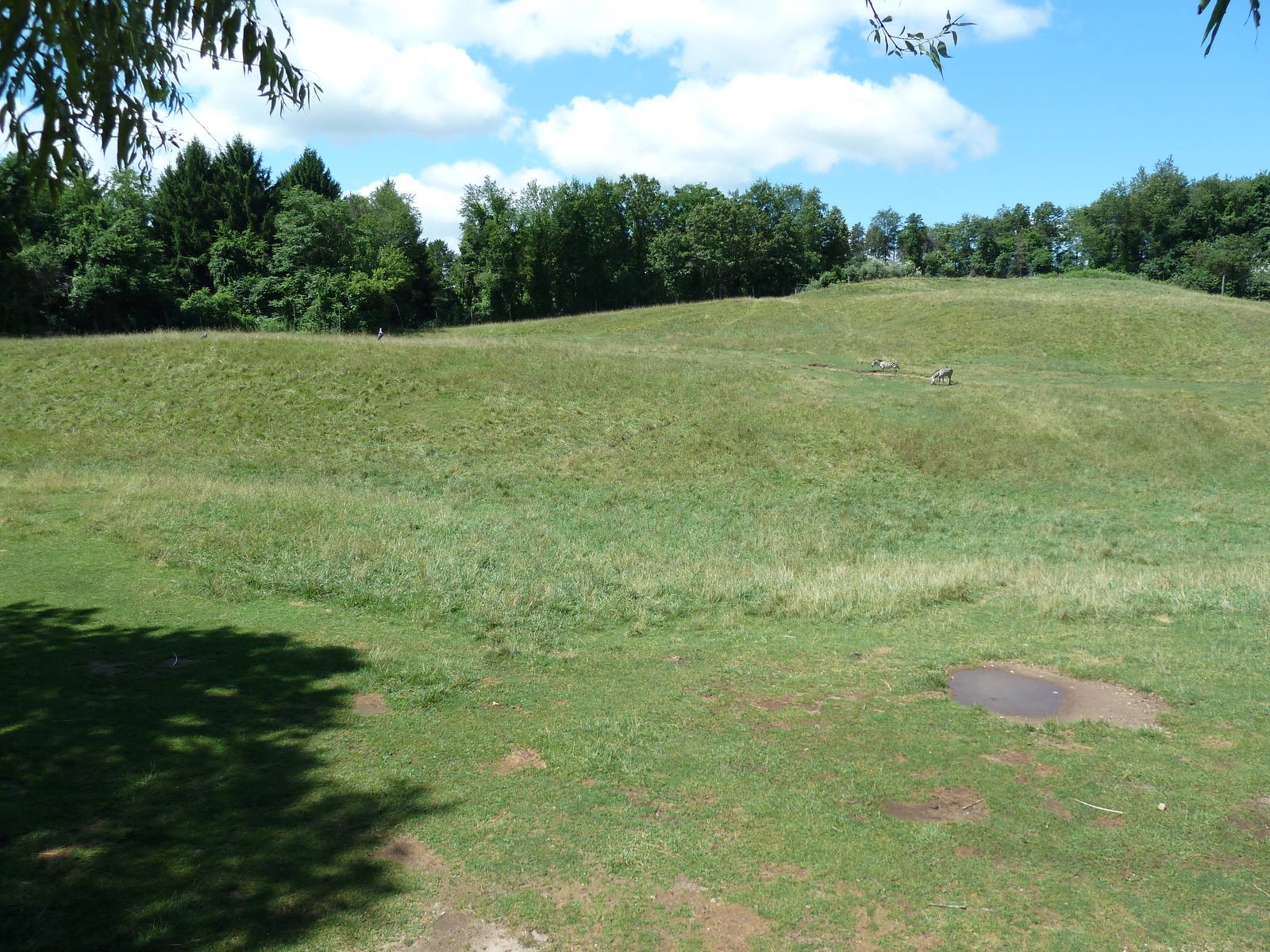 Wild Africa - 18-Acre Savanna