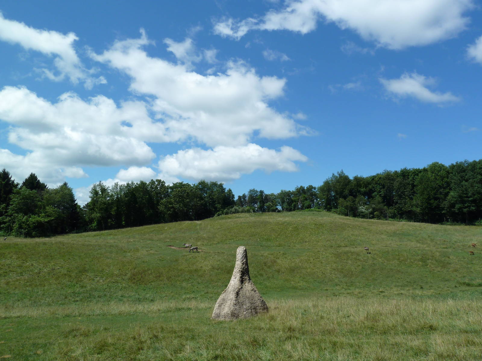 Wild Africa - 18-Acre Savanna