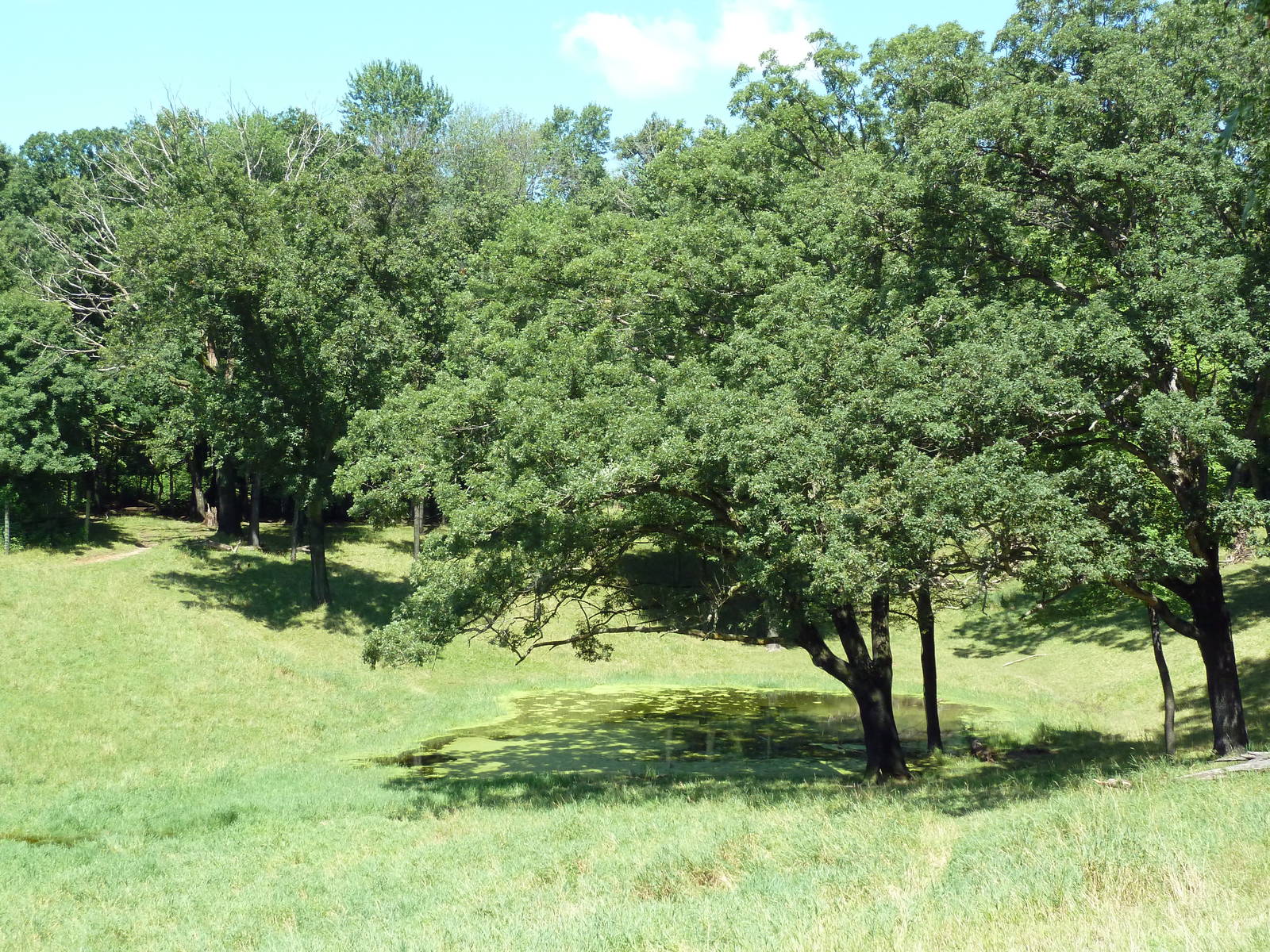 Wild Africa - 18-Acre Savanna