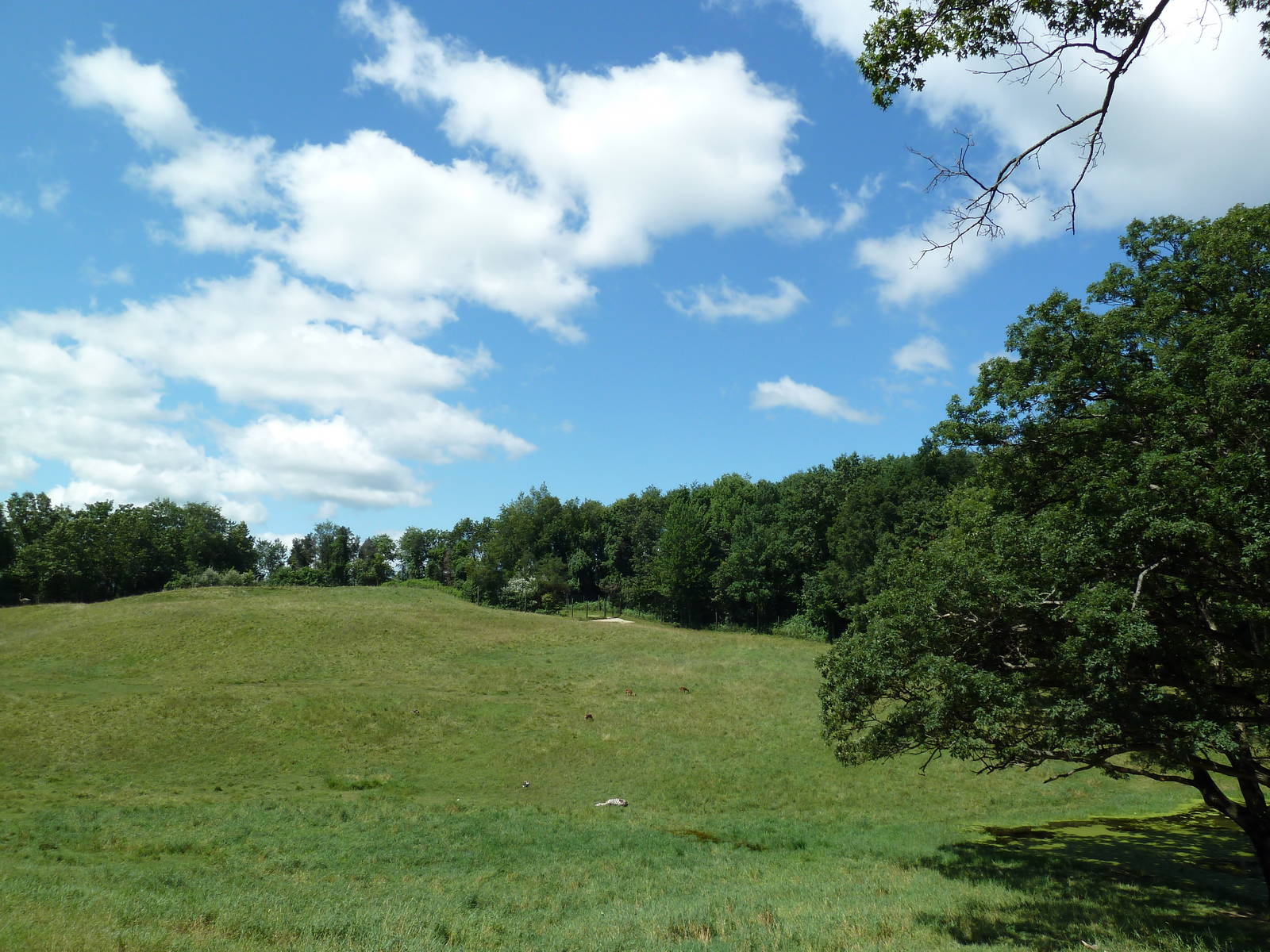 Wild Africa - 18-Acre Savanna