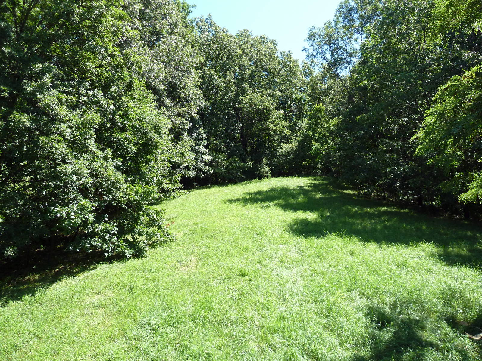 Wild Africa - African Wild Dog Exhibit