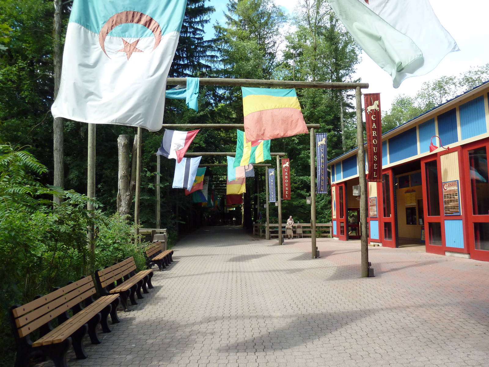 Wild Africa - Avenue of Flags