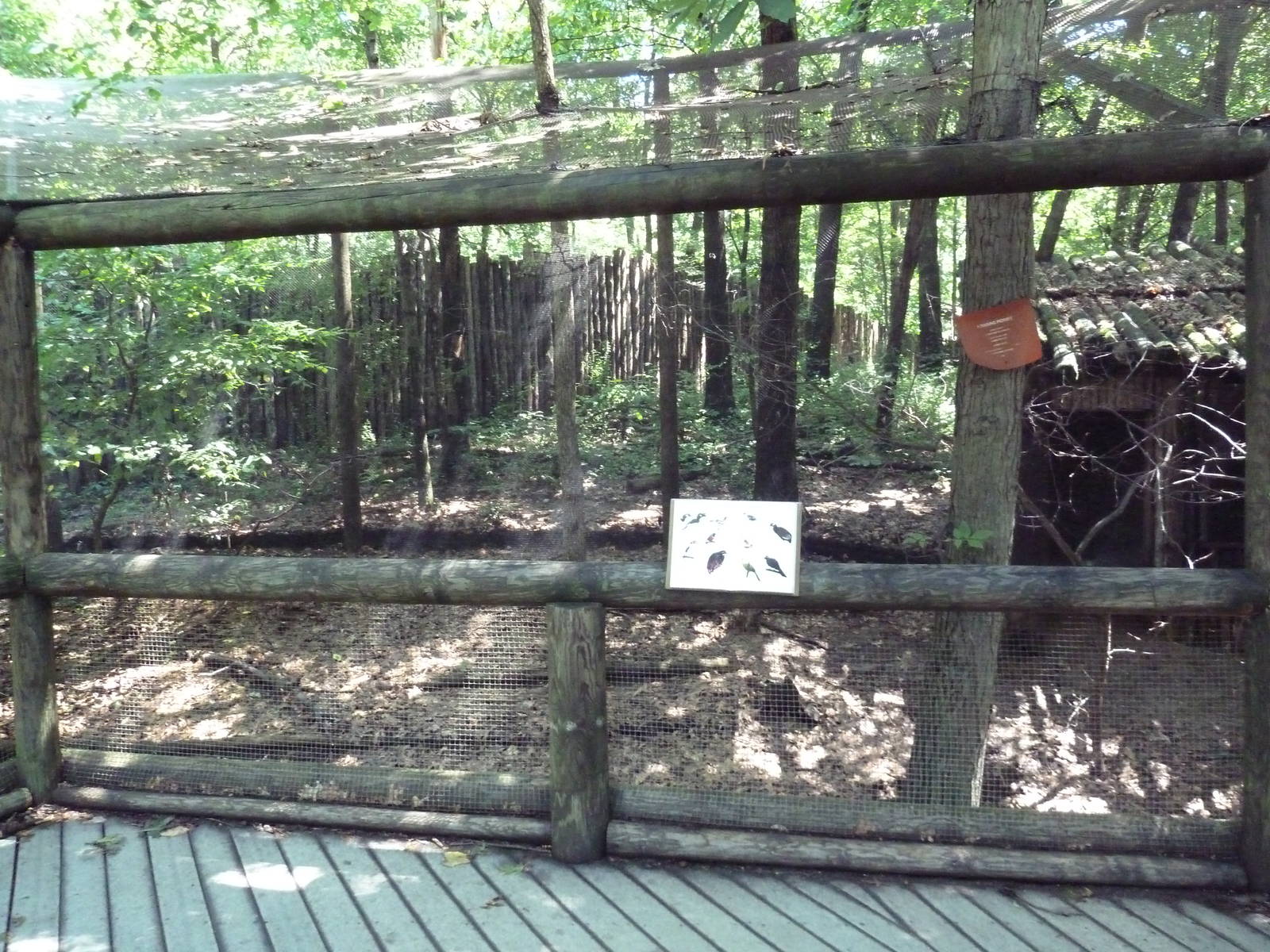 Wild Africa - Aviary