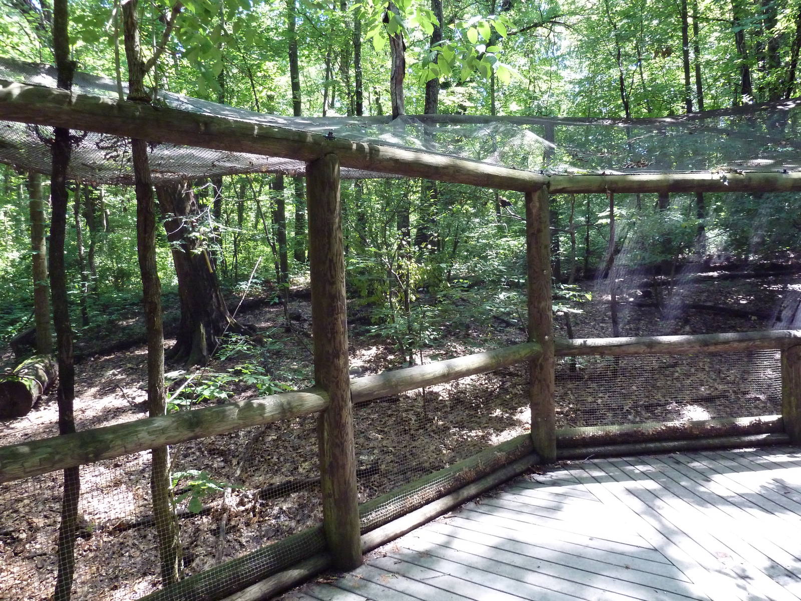 Wild Africa - Aviary