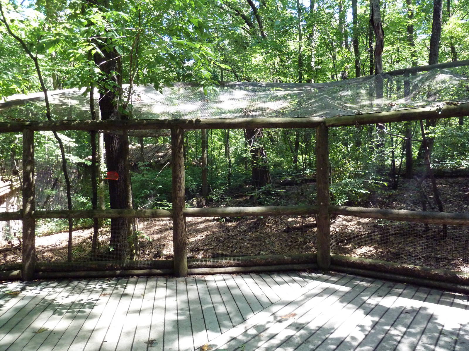 Wild Africa - Aviary