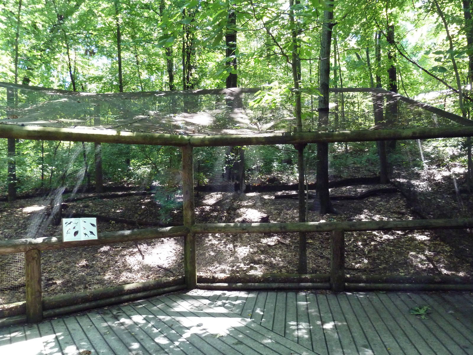 Wild Africa - Aviary