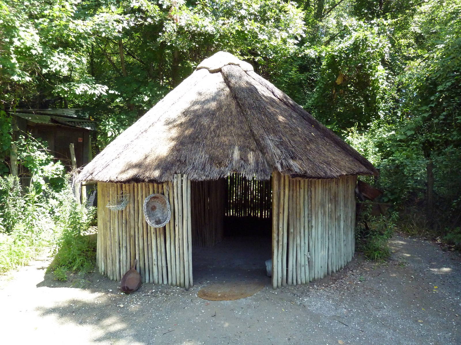 Wild Africa - Forest Farm