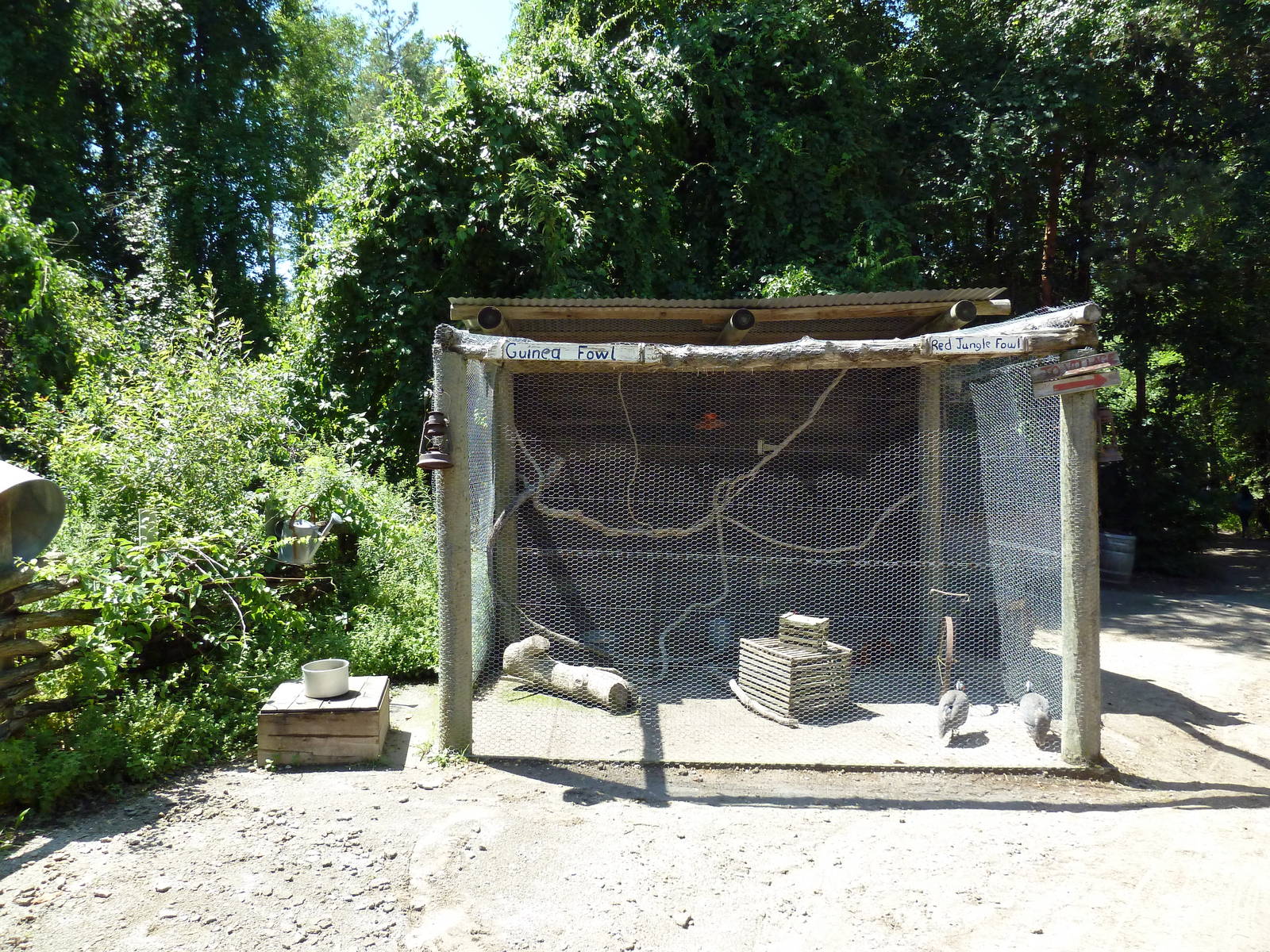 Wild Africa - Forest Farm