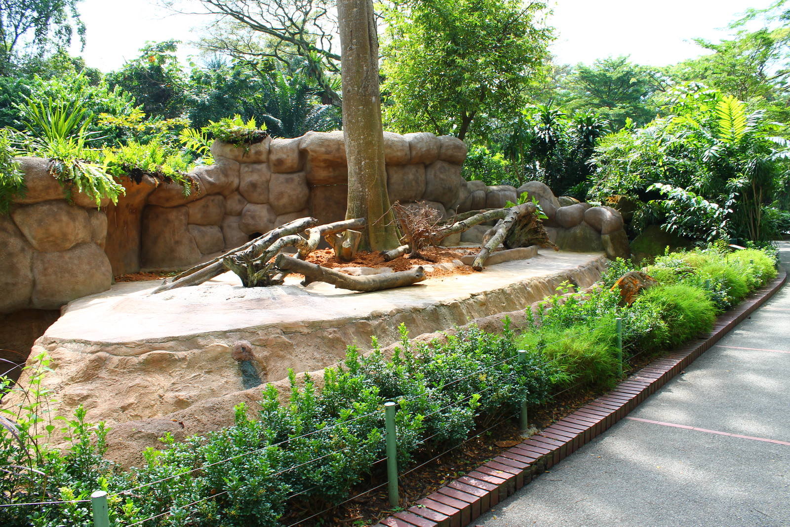 Wild Africa - Meerkat exhibit