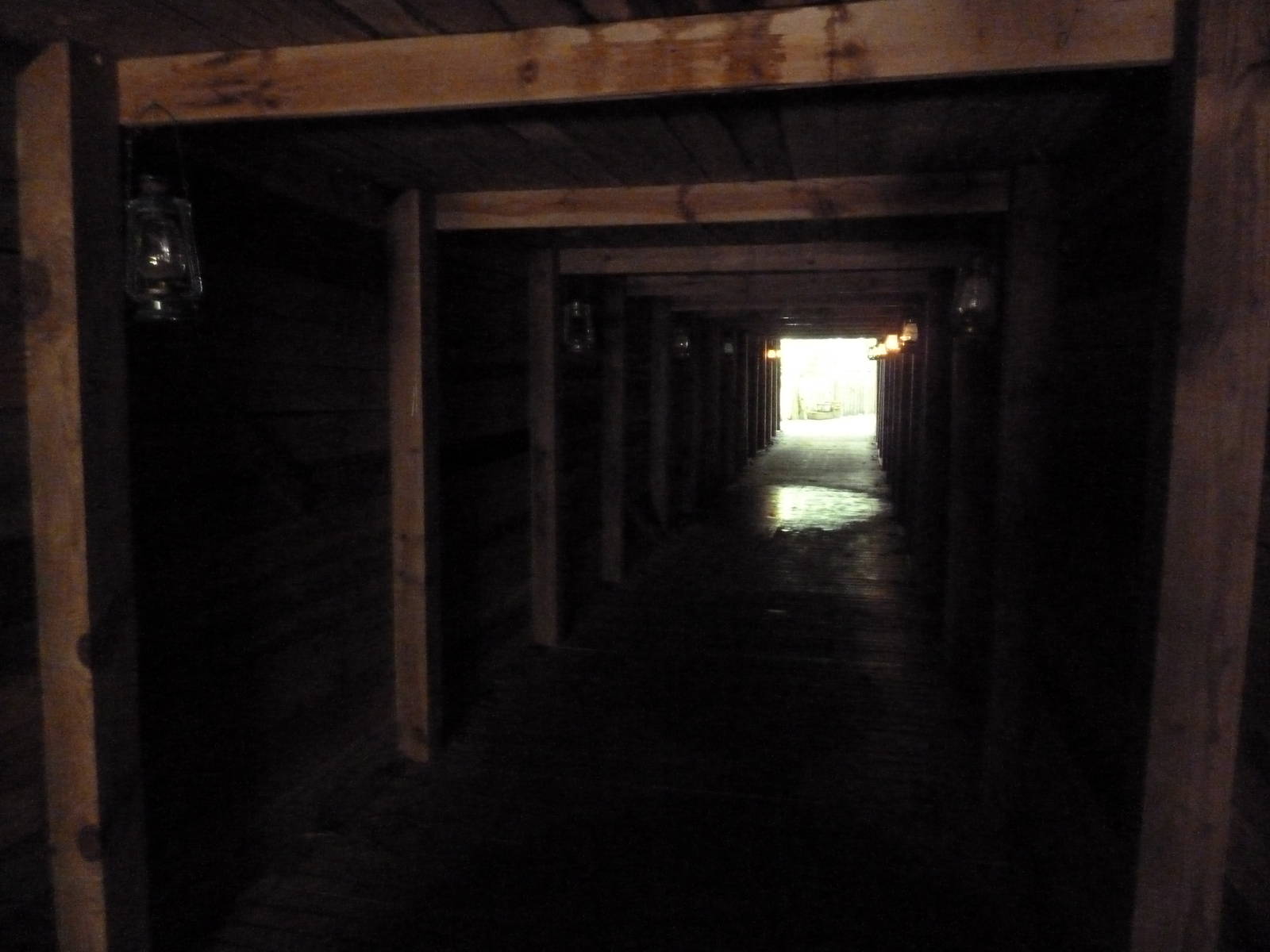 Wild Africa - Mine Shaft (Visitor Pathway)