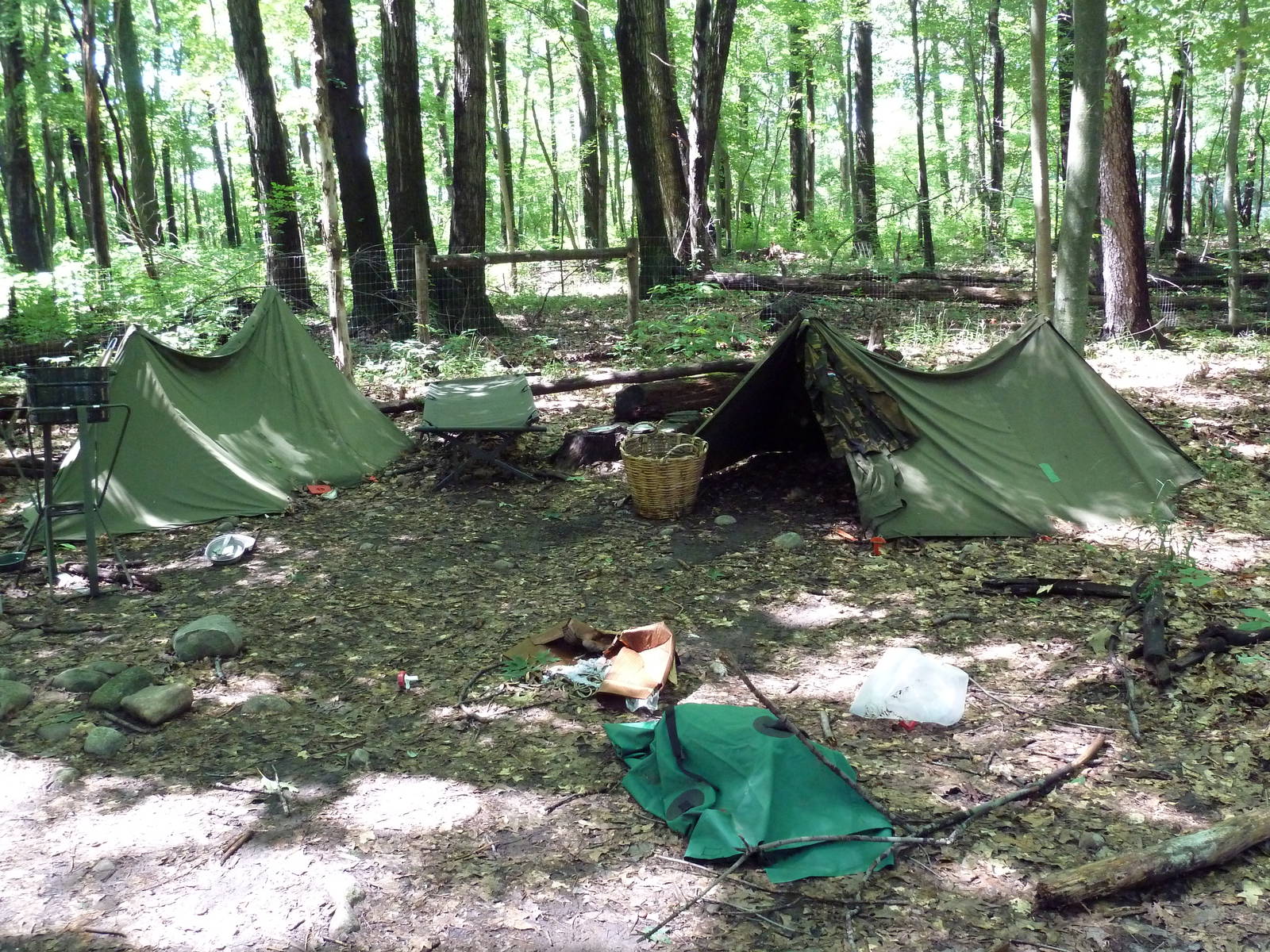 Wild Africa - Safari Campground