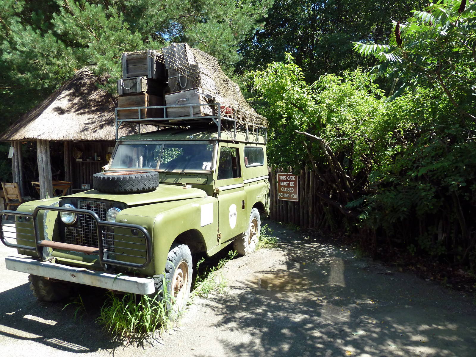 Wild Africa - Safari Jeep
