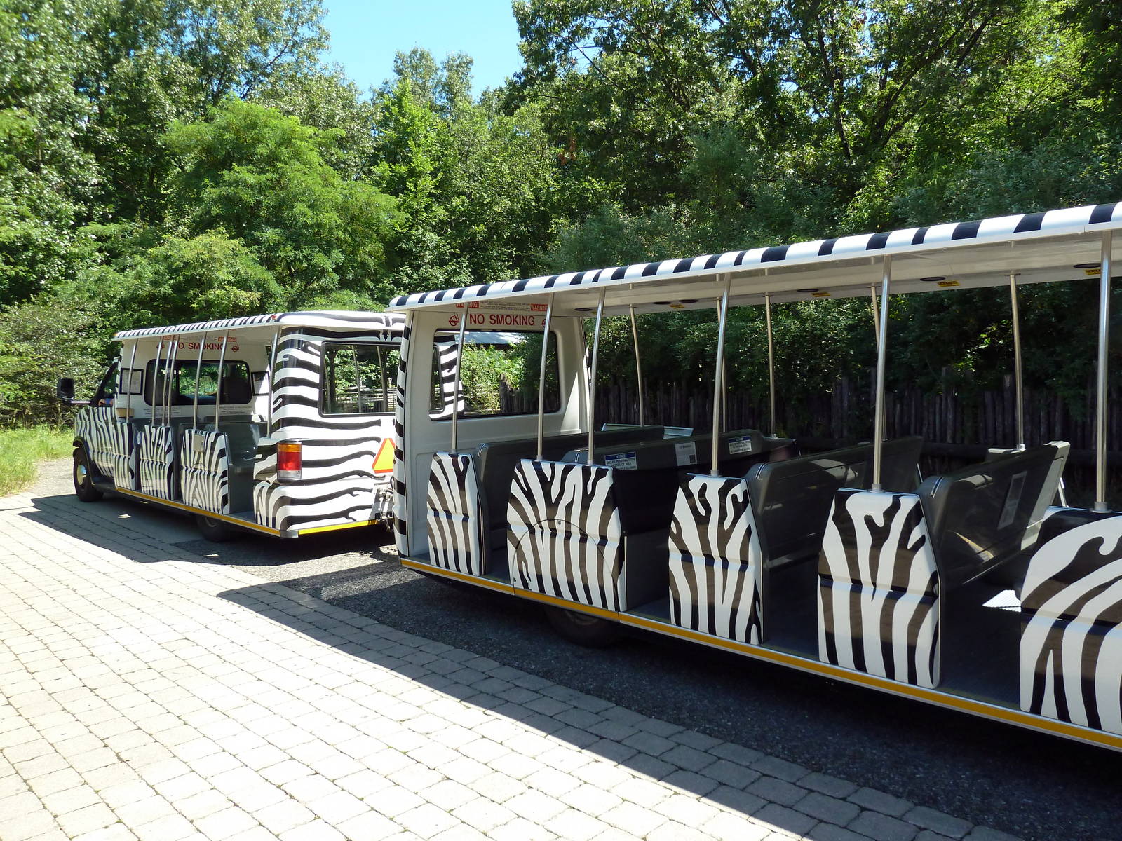 Wild Africa - Tram