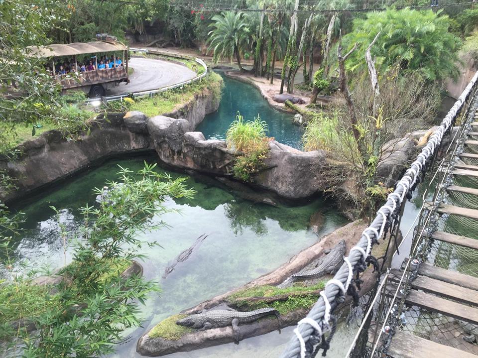 Wild Africa Trek- Nile Crocodile/Nile Hippopotamus
