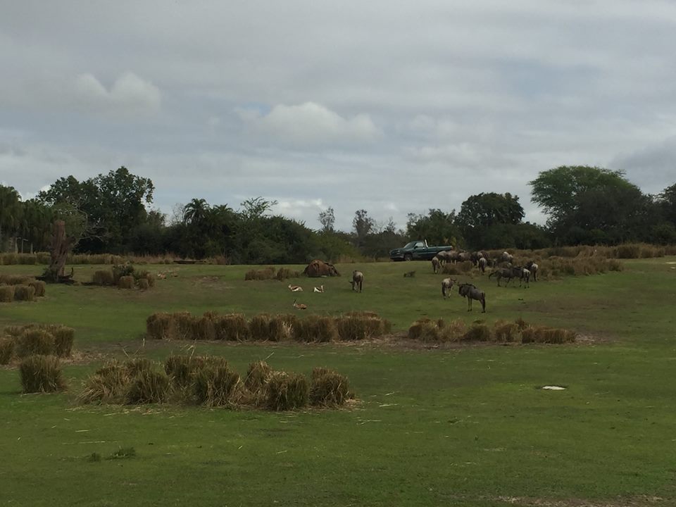 Wild Africa Trek- Savannah West