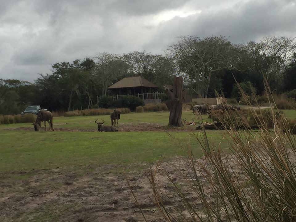 Wild Africa Trek- Savannah West