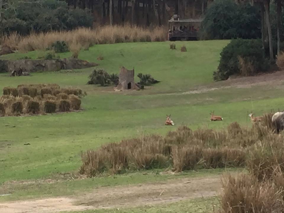 Wild Africa Trek- Savannah West