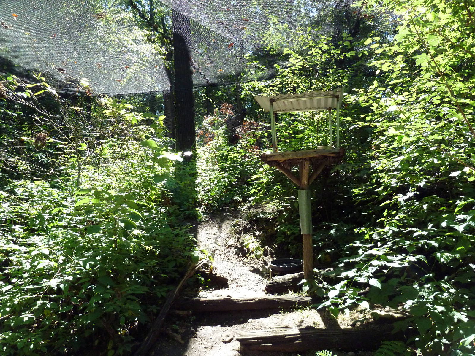 Wild Africa - Walk-Through Forest Aviary