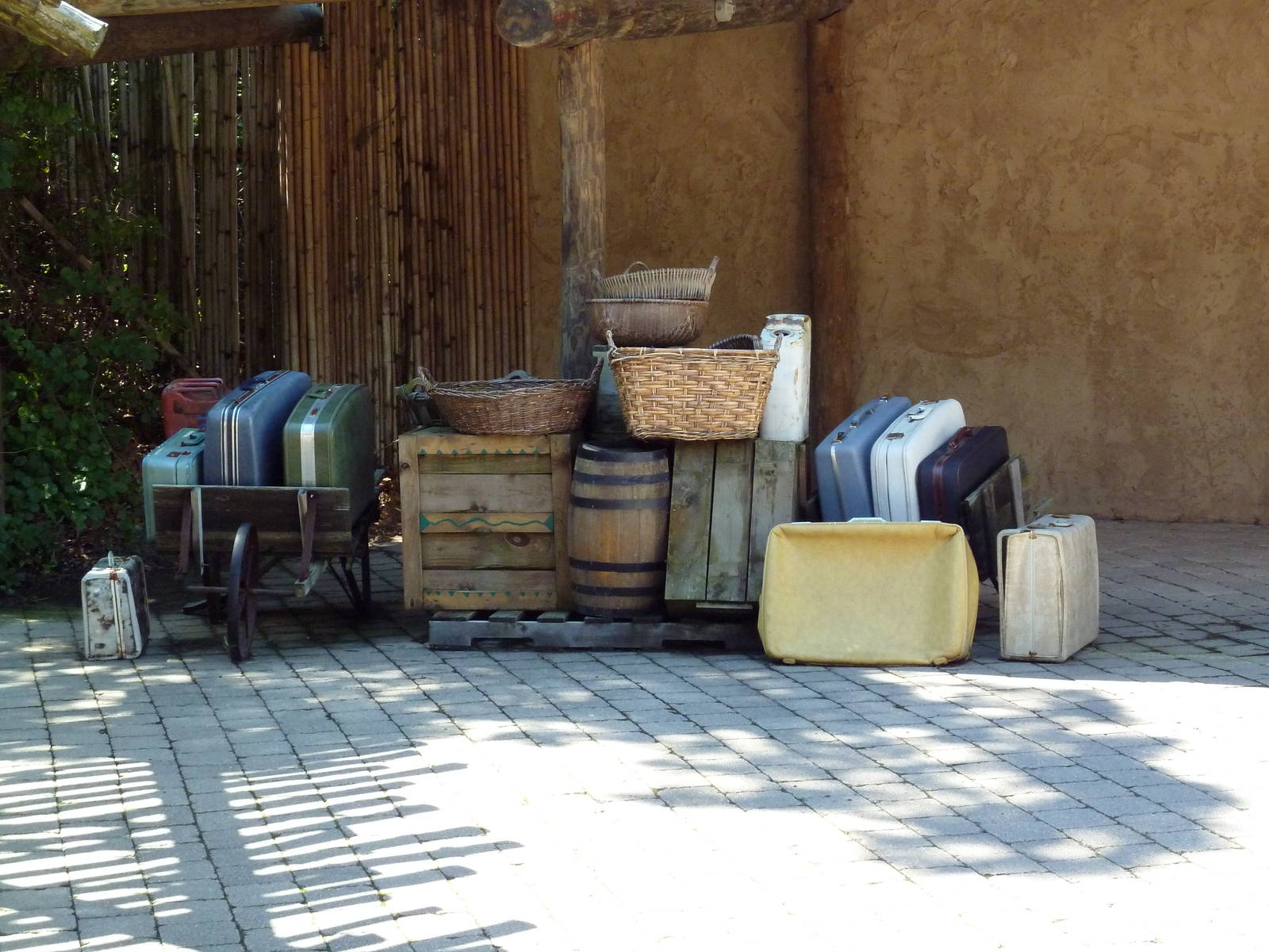 Wild Africa - Zuri National Park Headquarters