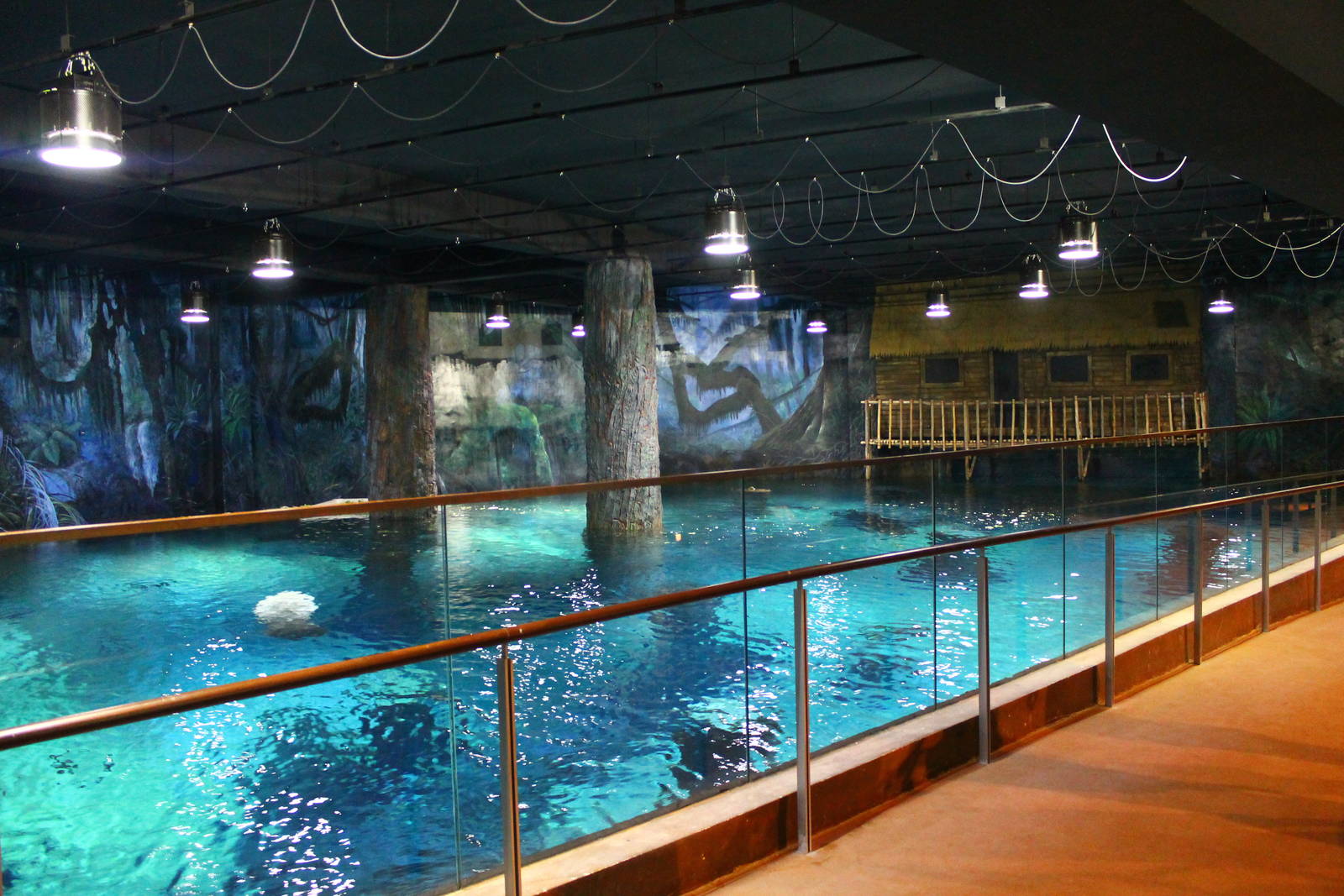 Wild Amazonia - Amazon Flooded Forest