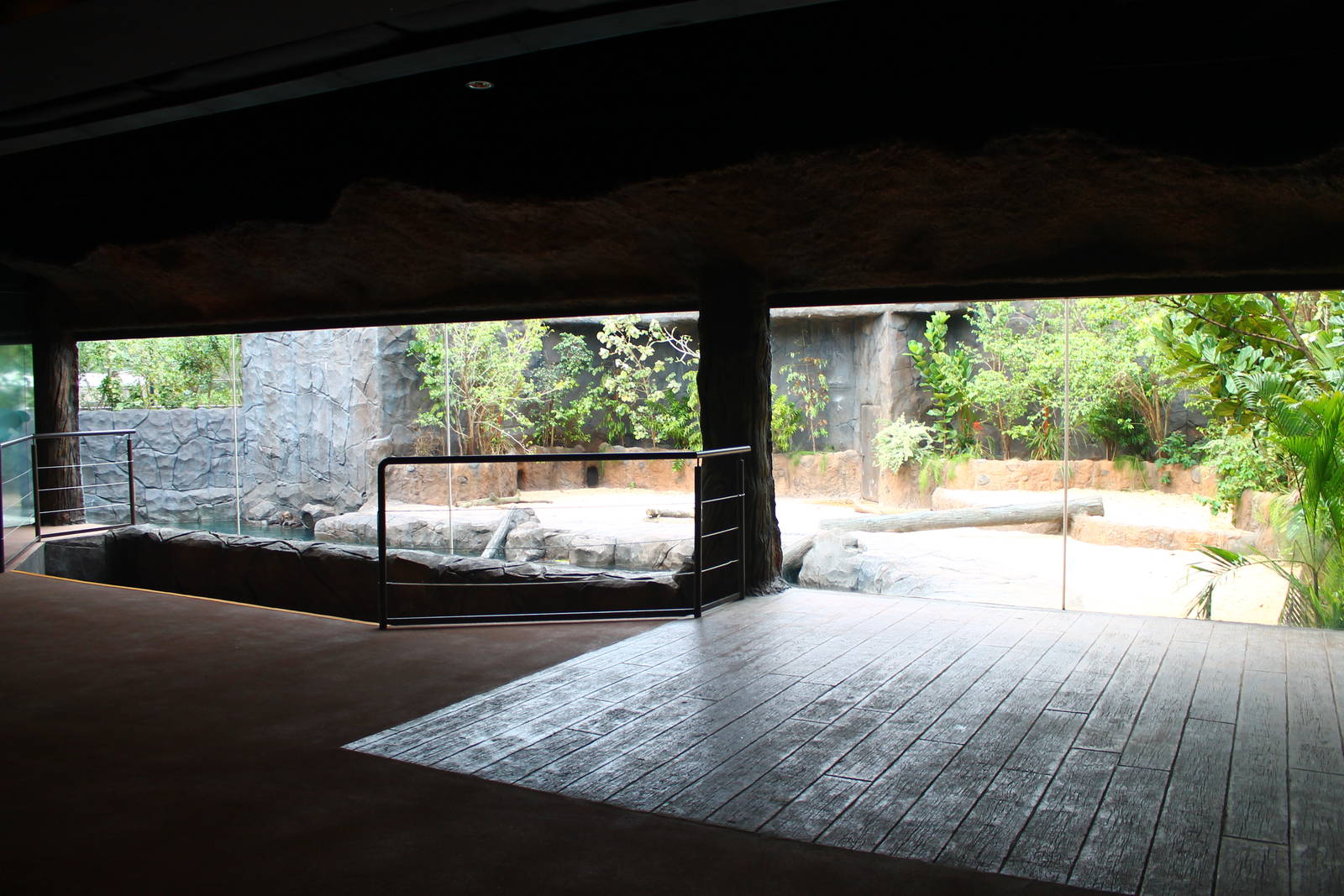 Wild Amazonia - Amazon Flooded Forest