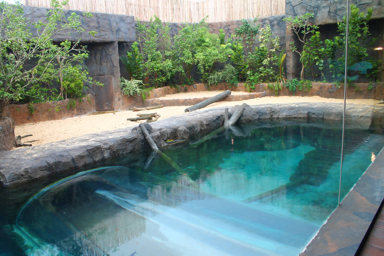 Wild Amazonia - Amazon Flooded Forest