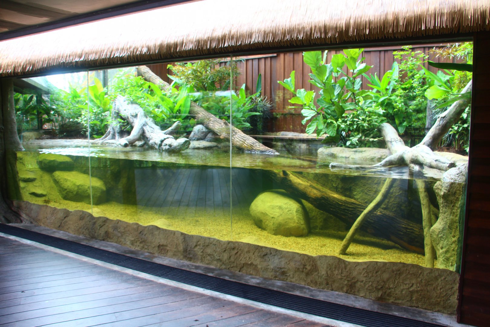 Wild Amazonia - Green Anaconda exhibit