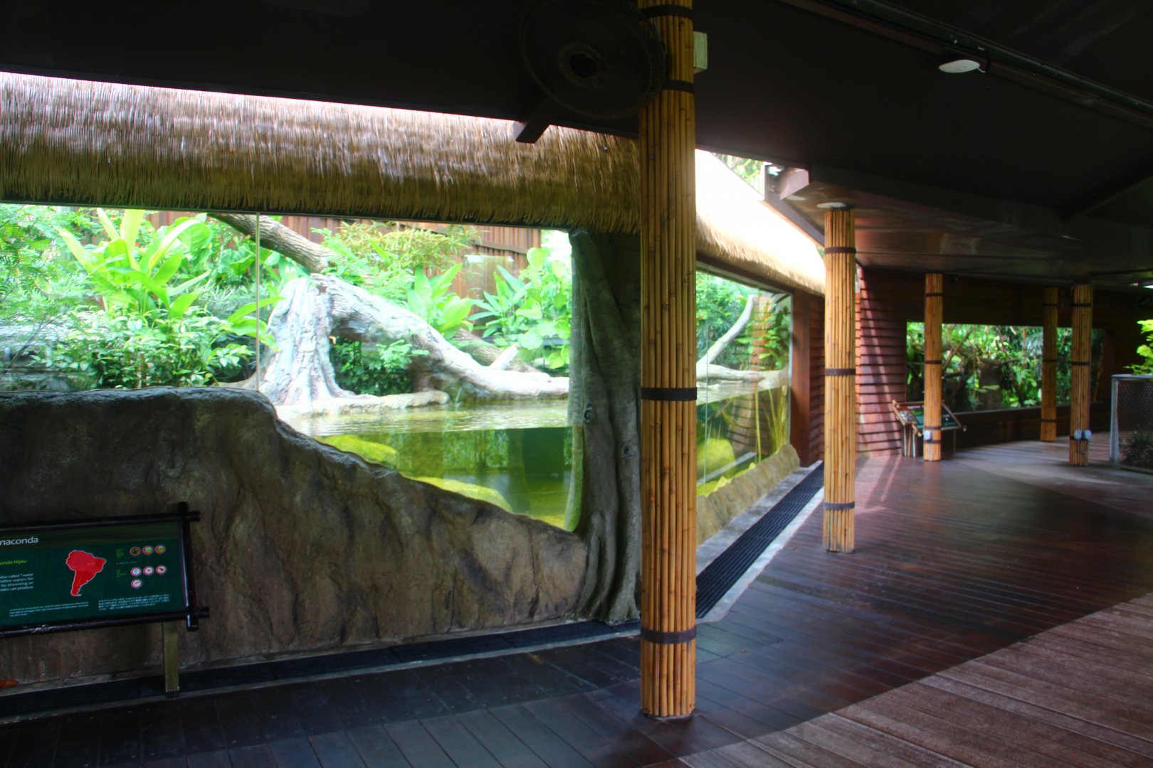 Wild Amazonia - Green Anaconda exhibit