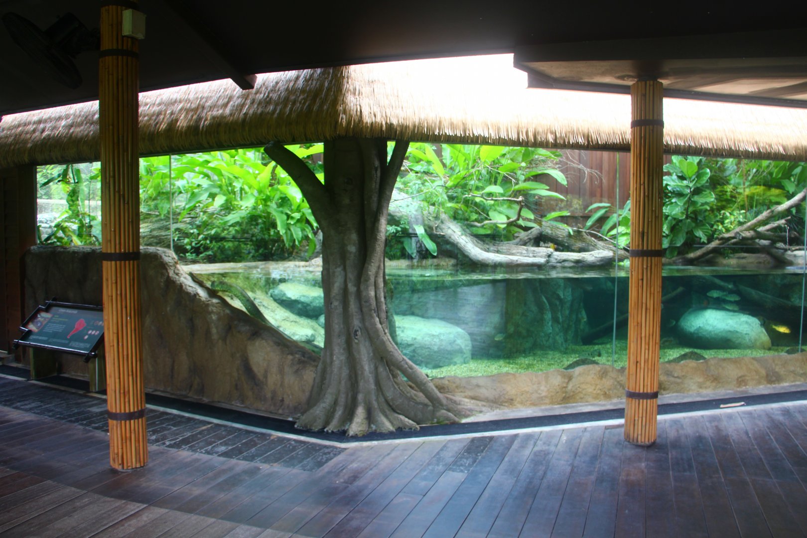 Wild Amazonia - Green Anaconda exhibit