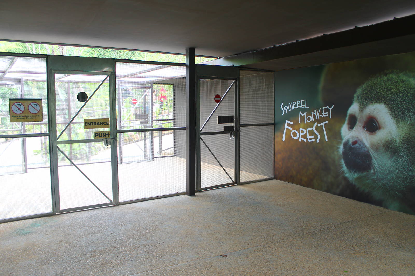 Wild Amazonia - Squirrel Monkey Forest