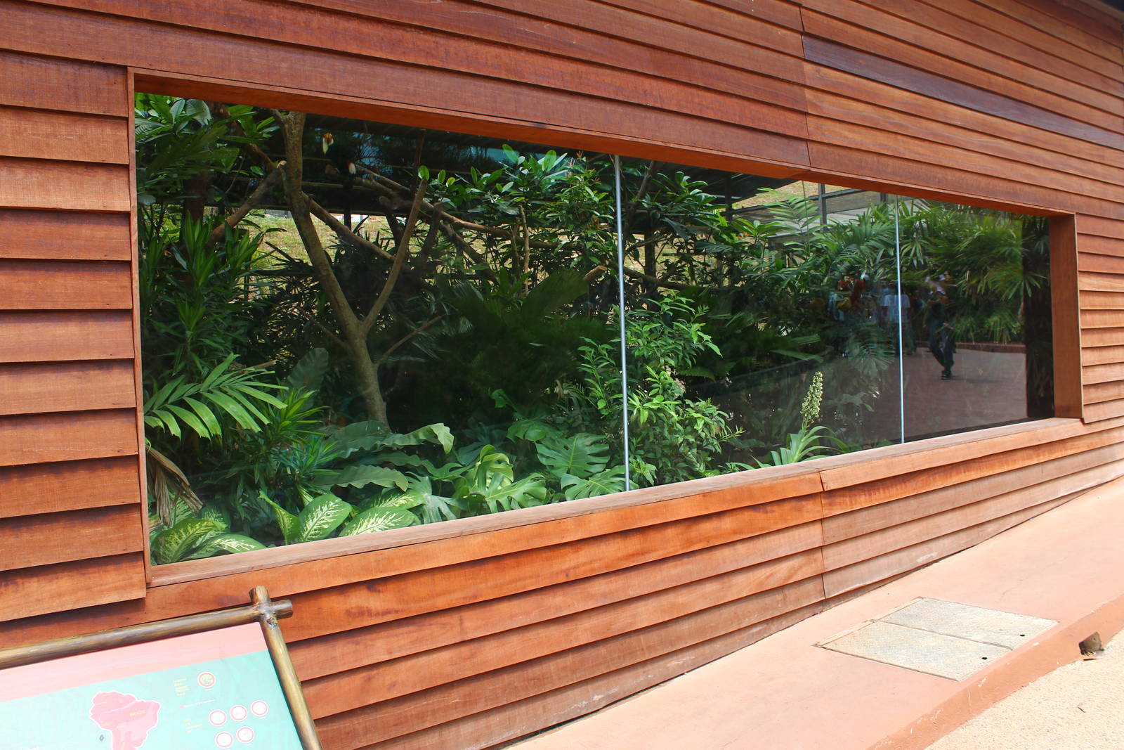 Wild Amazonia - Toco Toucan exhibit