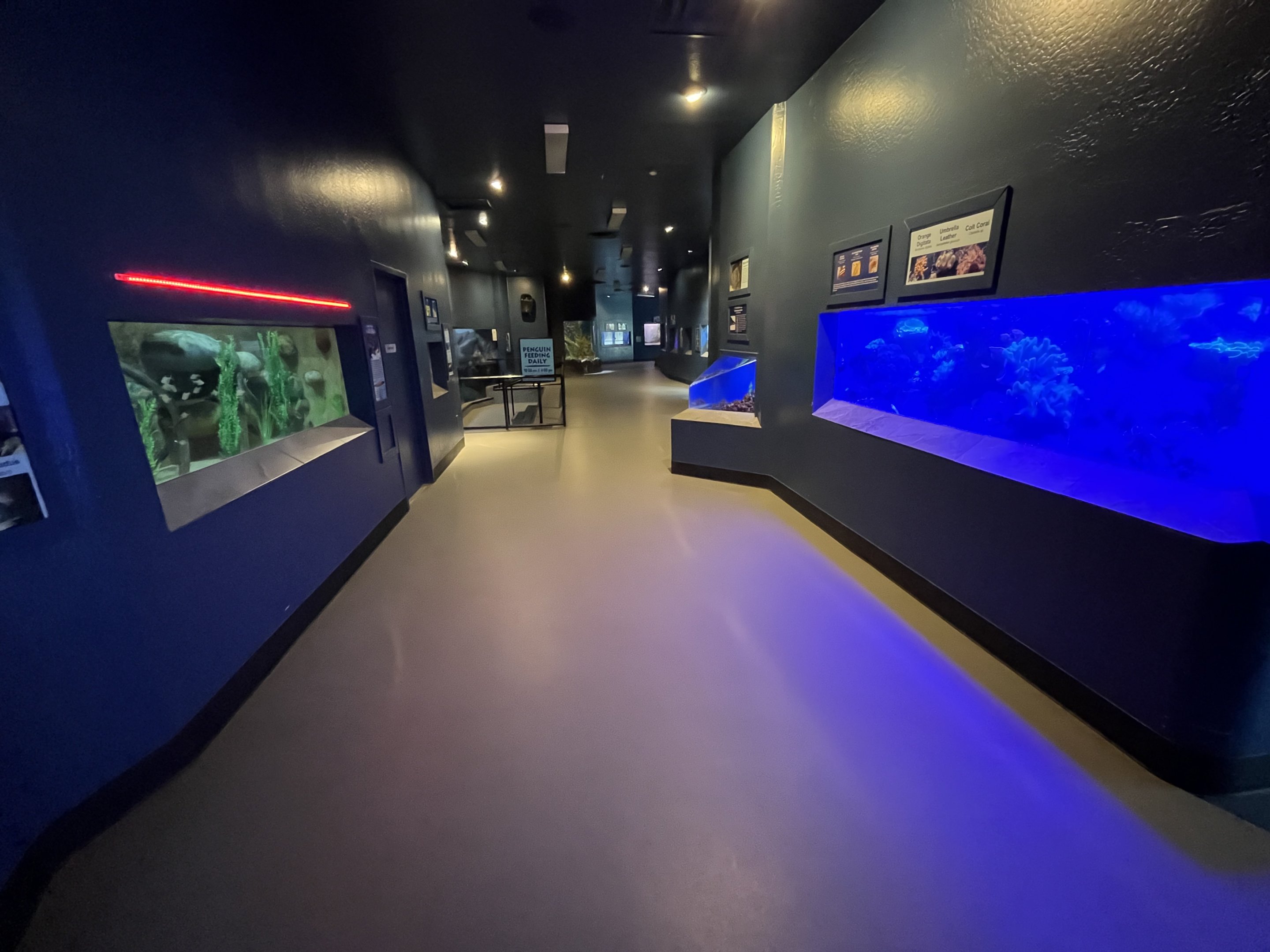 Wild and Wonderful Building