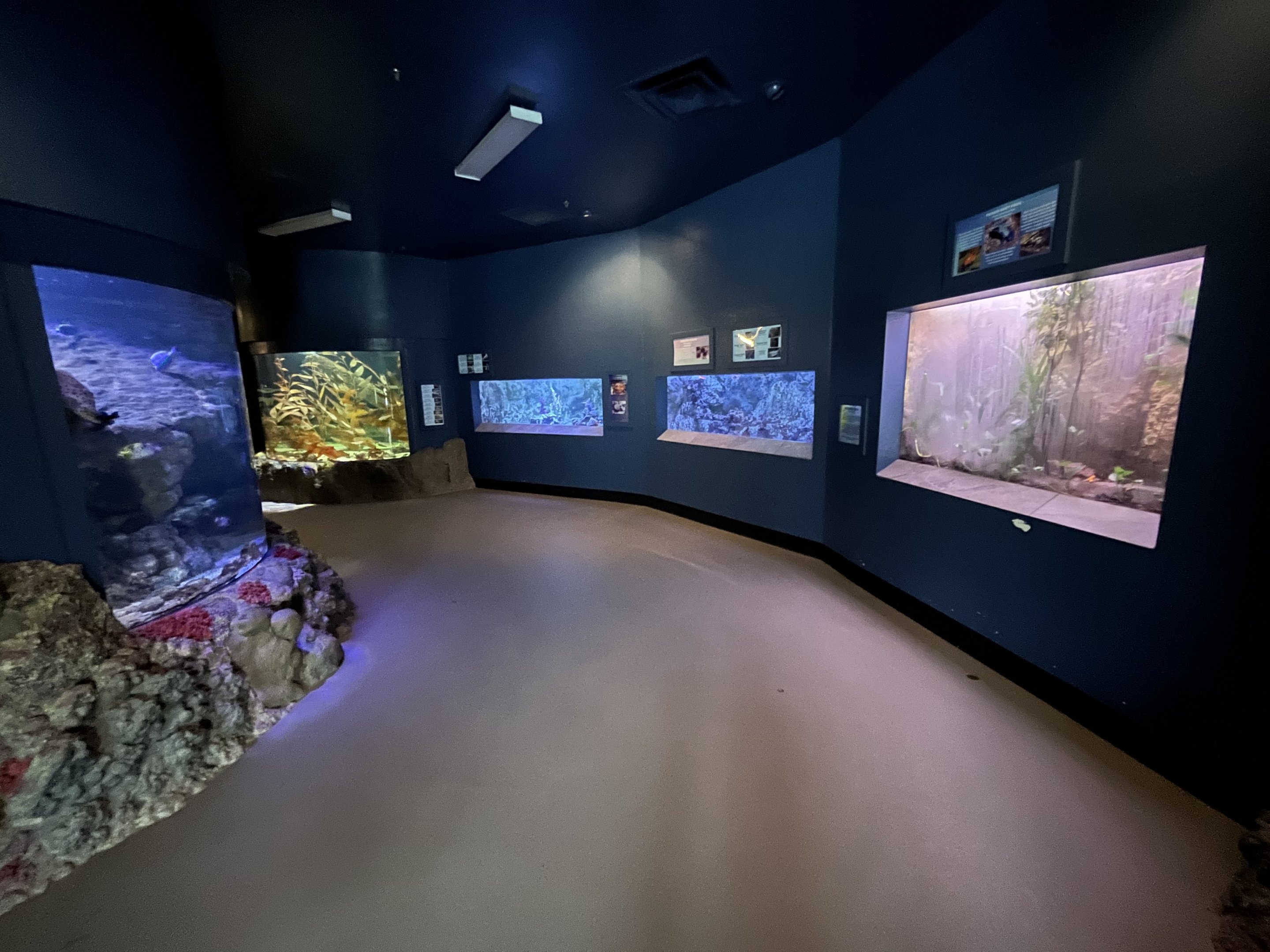 Wild and Wonderful Building