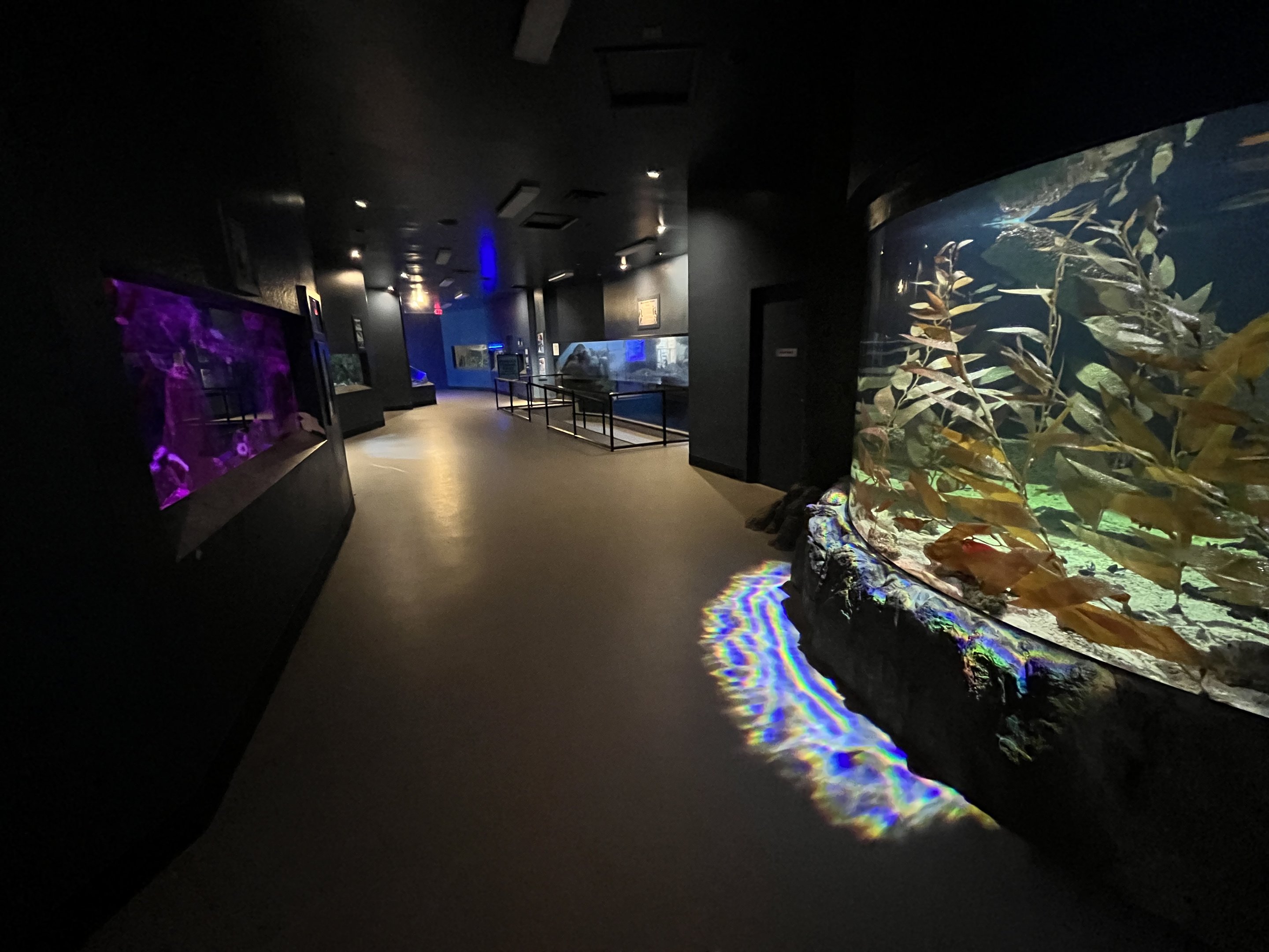 Wild and Wonderful Building