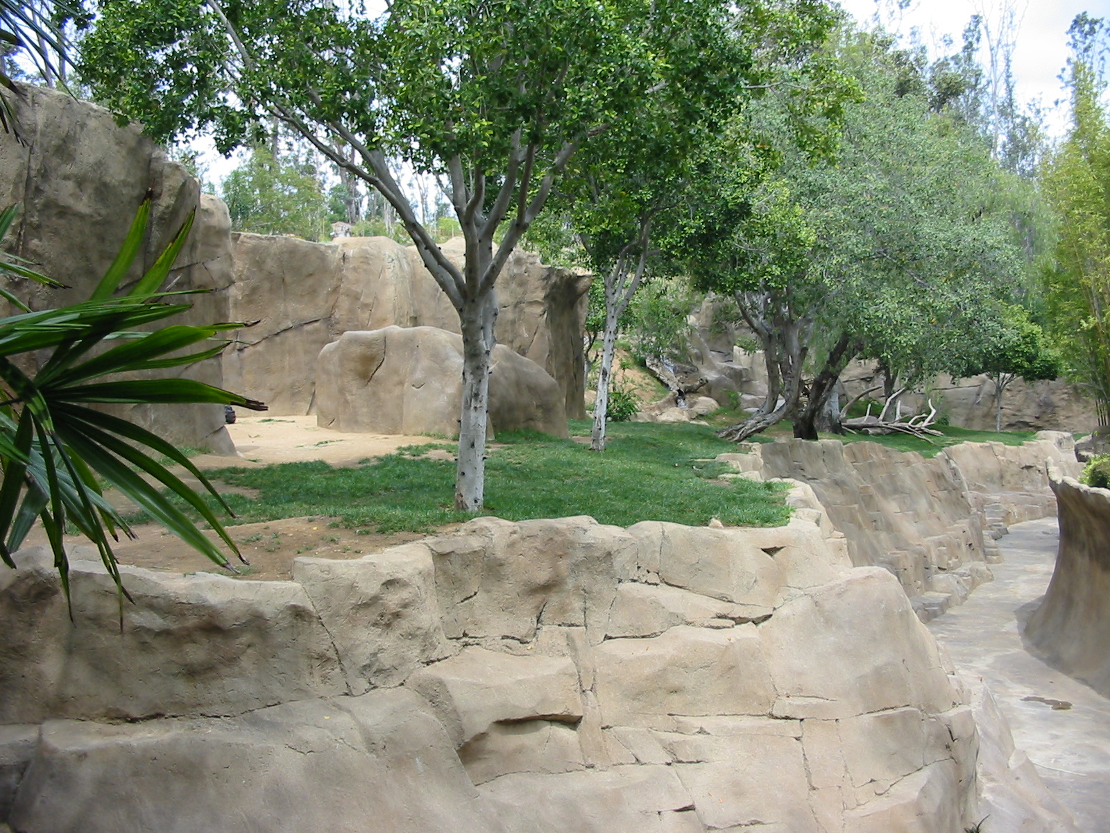 Wild Animal Park 2003 - Alongside the Gorilla exhibit